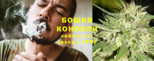 Альфа ПВП Богородск