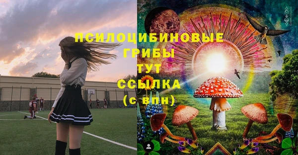 Альфа ПВП Богородск