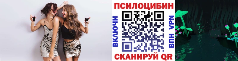 Купить закладки  Голицыно  Псилоцибиновые грибы ЛСД 